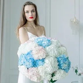 Букет из 25 гортензий микс