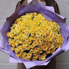 Букет из 151 желтой розы 35-40 см (Россия)