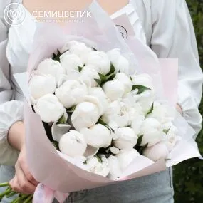 Букет из 25 нежно-розовых пионов Standart