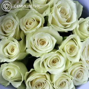 Букет из 15 белых роз 35-40 см (Кения)