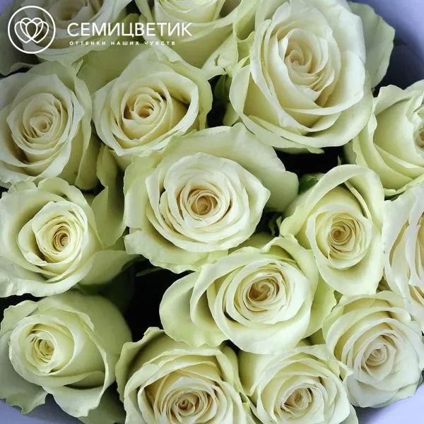 Букет из 15 белых роз 35-40 см (Кения)