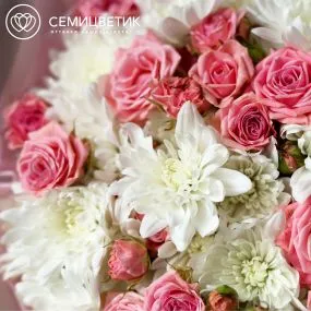 Букет из 6 белых кустовых хризантем и 5 нежно-розовых кустовых роз 40-50 см (Россия)