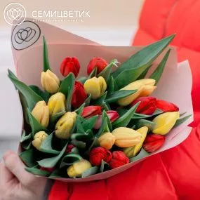 Букет из 25 желтых и красных тюльпанов 40 см