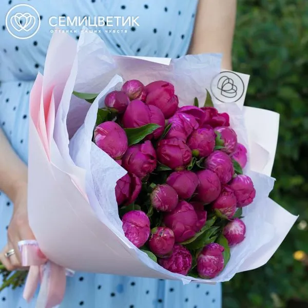 Букет из 25 малиновых пионов Standart Plus