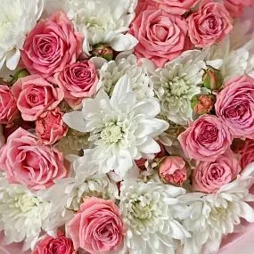 Букет из 6 белых кустовых хризантем и 5 нежно-розовых кустовых роз в упаковке