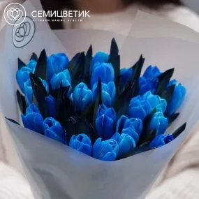 Букет из 25 тюльпанов Пандора
