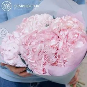 Букет из 5 розовых гортензий