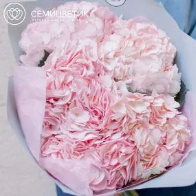 Букет из 5 розовых гортензий