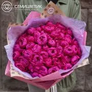 Букет из 15 малиновых пионов Standart