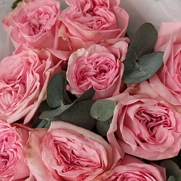 Букет из 9 пионовидных роз Pink Ohara (Эквадор) 50 см с эвкалиптом в прозрачной пленке