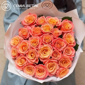 Букет из 25 коралловых роз 60 см (Россия) в белой пленке