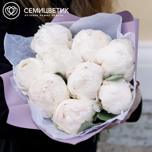 Букет из 9 белых пионов Premium в сиреневой пленке