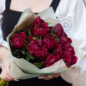 Букет из 11 бордовых пионов Standart Plus в зеленой пленке