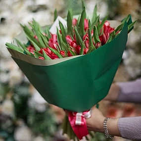 Букет из 101 малинового тюльпана в зеленой пленке