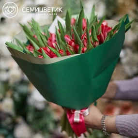 Букет из 101 малинового тюльпана в зеленой пленке