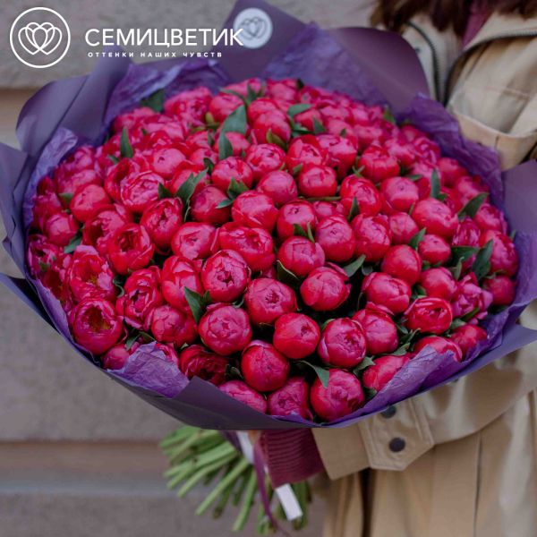 Букет из 101 кораллового пиона Coral Sunset Standart