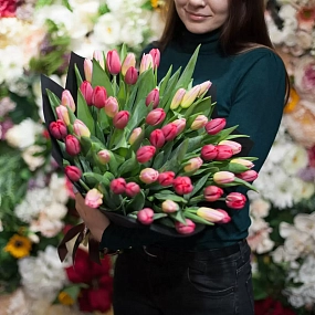 Букет из 51 красного и розового тюльпана 40 см в бордовой пленке