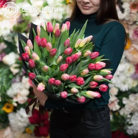 Букет из 51 красного и розового тюльпана 40 см в бордовой пленке