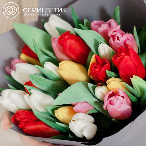 Букет из 25 тюльпанов микс в сиреневой пленке