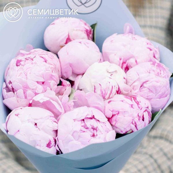 Букет из 9 розовых пионов Premium в голубой пленке