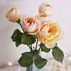 5 пионовидных роз Джульетта 50 см