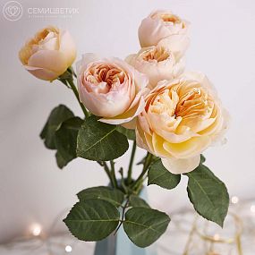 Букет из 5 персиковых пионовидных роз Juliet 50 см (Эквадор)