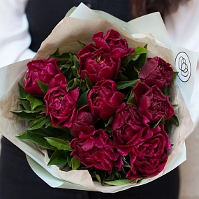 Букет из 11 бордовых пионов Standart Plus в зеленой пленке
