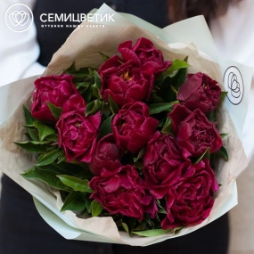 Букет из 11 бордовых пионов Standart Plus в зеленой пленке