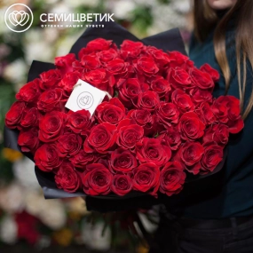 Букет из 51 красной розы Freedom 60 см (Эквадор) в бордовой пленке