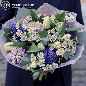 Букет из гиацинтов, тюльпанов и матрикарии в голубой пленке