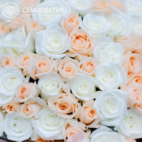 Букет из 101 кремовой и белой розы 40 см (Россия) в кремовой пленке