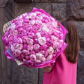 Букет из 101 розового и ярко-розового пиона Standart в упаковке