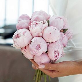 Свадебный букет из 15 розовых пионов Premium