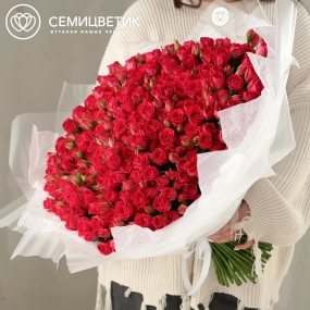 Букет из 101 малиновой кустовой розы 40-50 см (Россия) в прозрачной упаковке