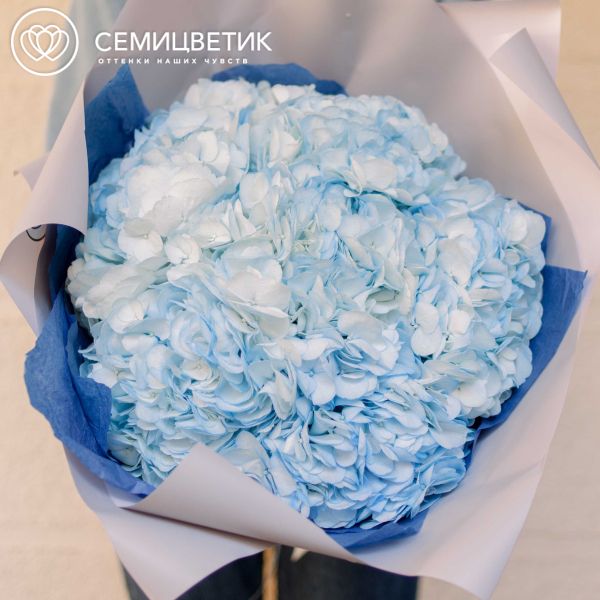 Букет из 7 голубых гортензий