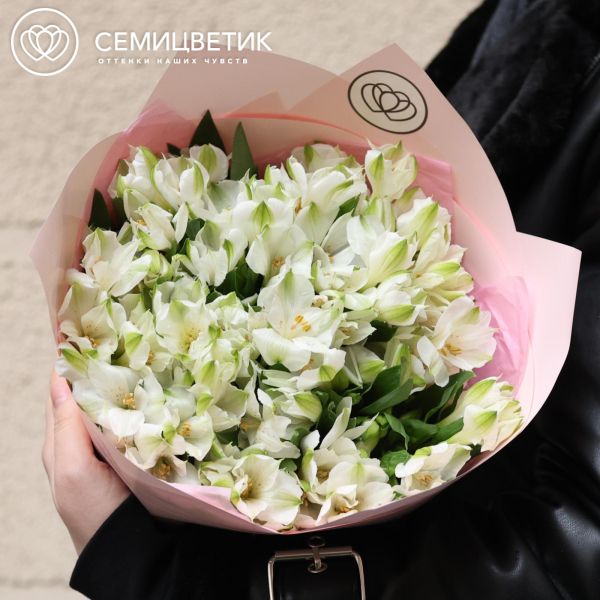 Букет из 17 белых альстромерий