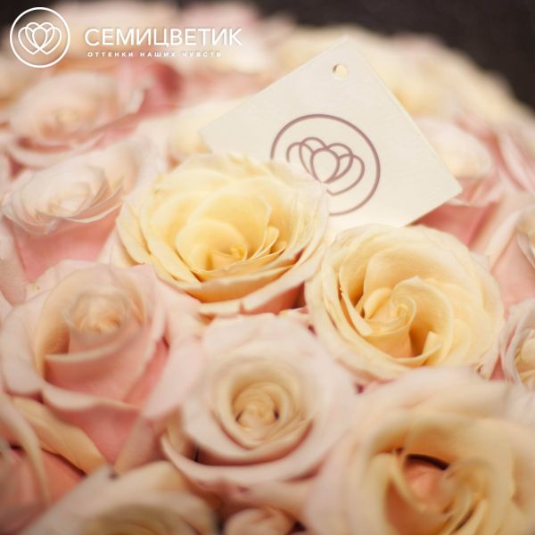 Букет из 25 нежно-розовых роз Mother of pearl 50 см (Эквадор)