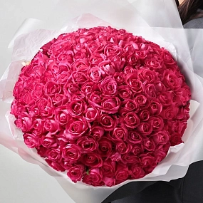 Букет из 151 малиновой розы 40 см (Россия) в прозрачной пленке