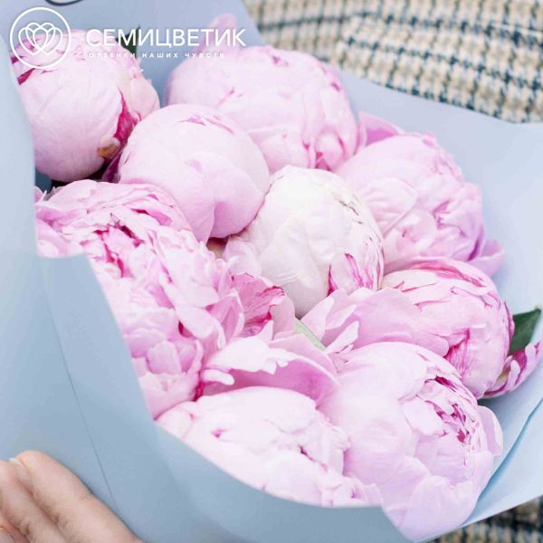 Букет из 9 розовых пионов Premium в голубой пленке