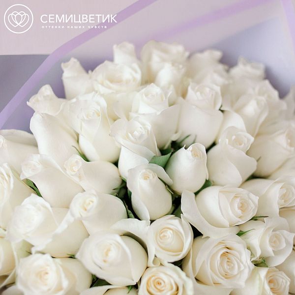 Букет из 51 белой розы 40 см (Кения) Premium в дизайнерской пленке