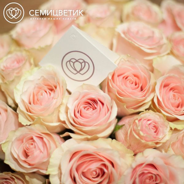 Букет из 25 нежно-розовых роз Pink Mondial 50 см (Эквадор)