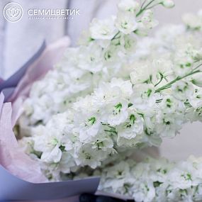 Букет из 9 белых дельфиниумов