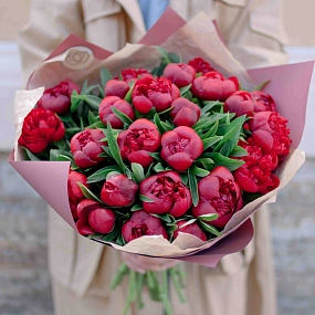 Мини-букет  из 25 бордовых пионов Standart в розовой пленке