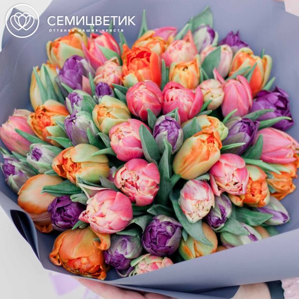 Букет из 51 пионовидного тюльпана микс в сиреневой пленке