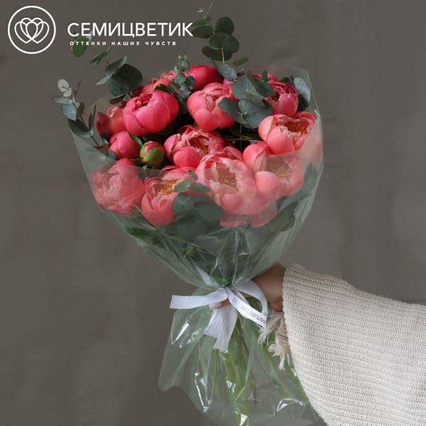 Букет из 15 пионов Coral Sunset Premium с эвкалиптом в полупрозрачной упаковке