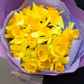 Букет из 25 нарциссов в сиреневой пленке