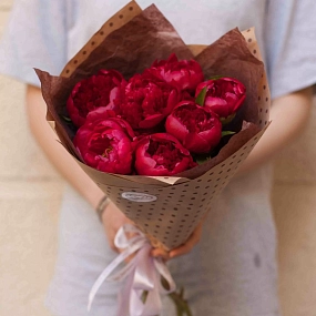 Букет из 7 бордовых пионов Standart в упаковке