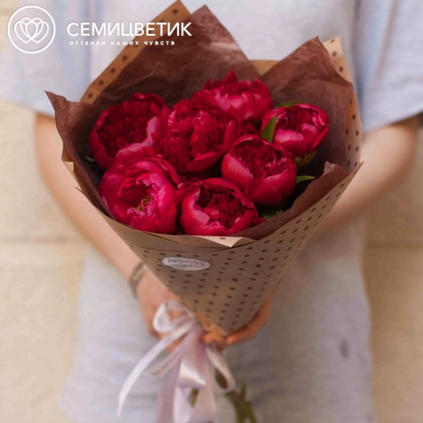 Букет из 7 бордовых пионов Standart в упаковке