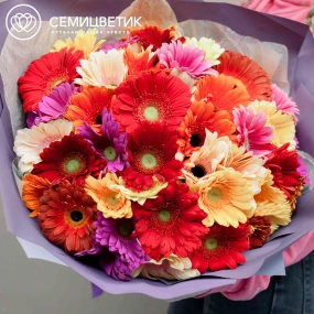 Букет из 51 герберы микс в сиреневой пленке