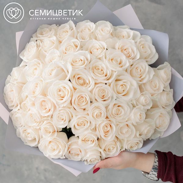 Букет из 51 белой розы Vendela 50 см (Эквадор)
